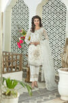 Kurti 088
