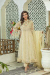 Kurti 042