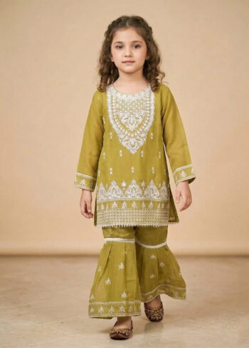 Kids Olive Chiffon Embroidered Gharara