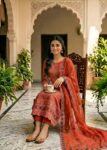 Rust Orange Embroidered Cotton Kurta Set with Chiffon Dupatta