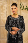 AYZEL