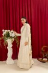 DSC00520