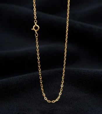 Dainty Gold Chain Necklace