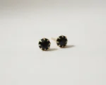 Black Diamond Stud Earrings Elegant & Timeless Style