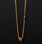Gold Rolo Chain Necklace