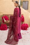 Tassawur-TA-04-Unstitched-Embroidered-Slub-Karandi-3PC-Kleren-28646637011127